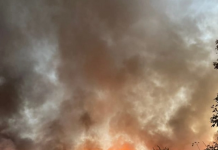 Пожарите се акутни, но причините се системски