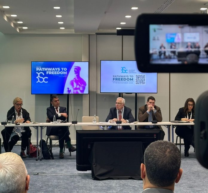 Димитров панел БСЦ 2025-1