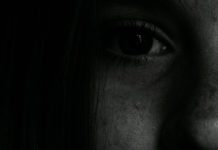 Кога државата знае – а молчи: семејното насилство како институционален пропуст